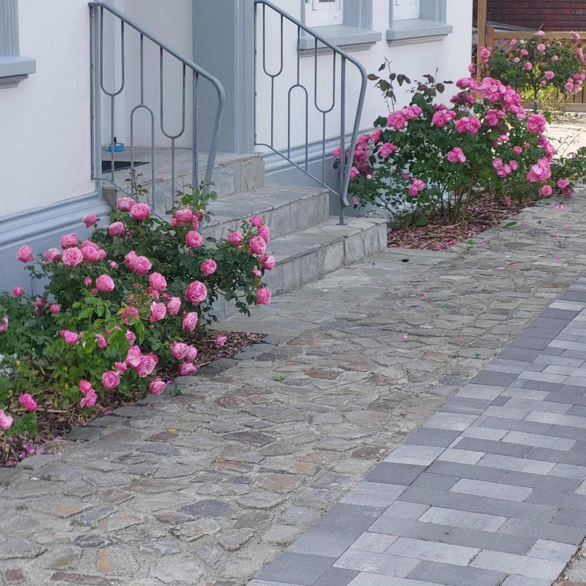 Privatunterkunft Im Erdgeschoss Apartment Nordenham Exterior photo